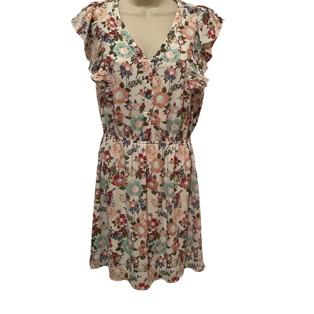 DR2 by Daniel Rainn Floral Dress Fit and Flare Ruffle Sleeveless Sz Small Lined
